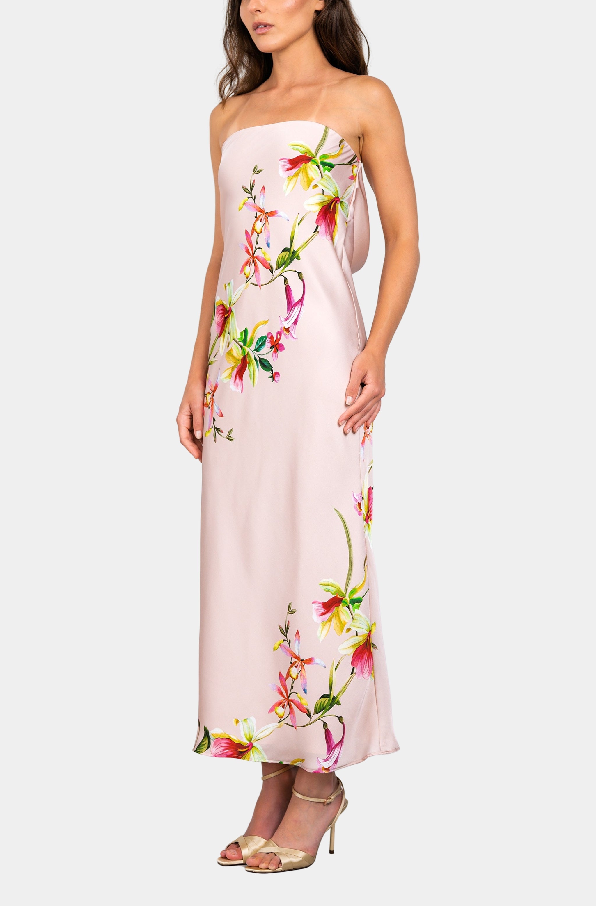 blush coloured maxi dress Talia Maxi Dress Blush/Pink Combo / XS