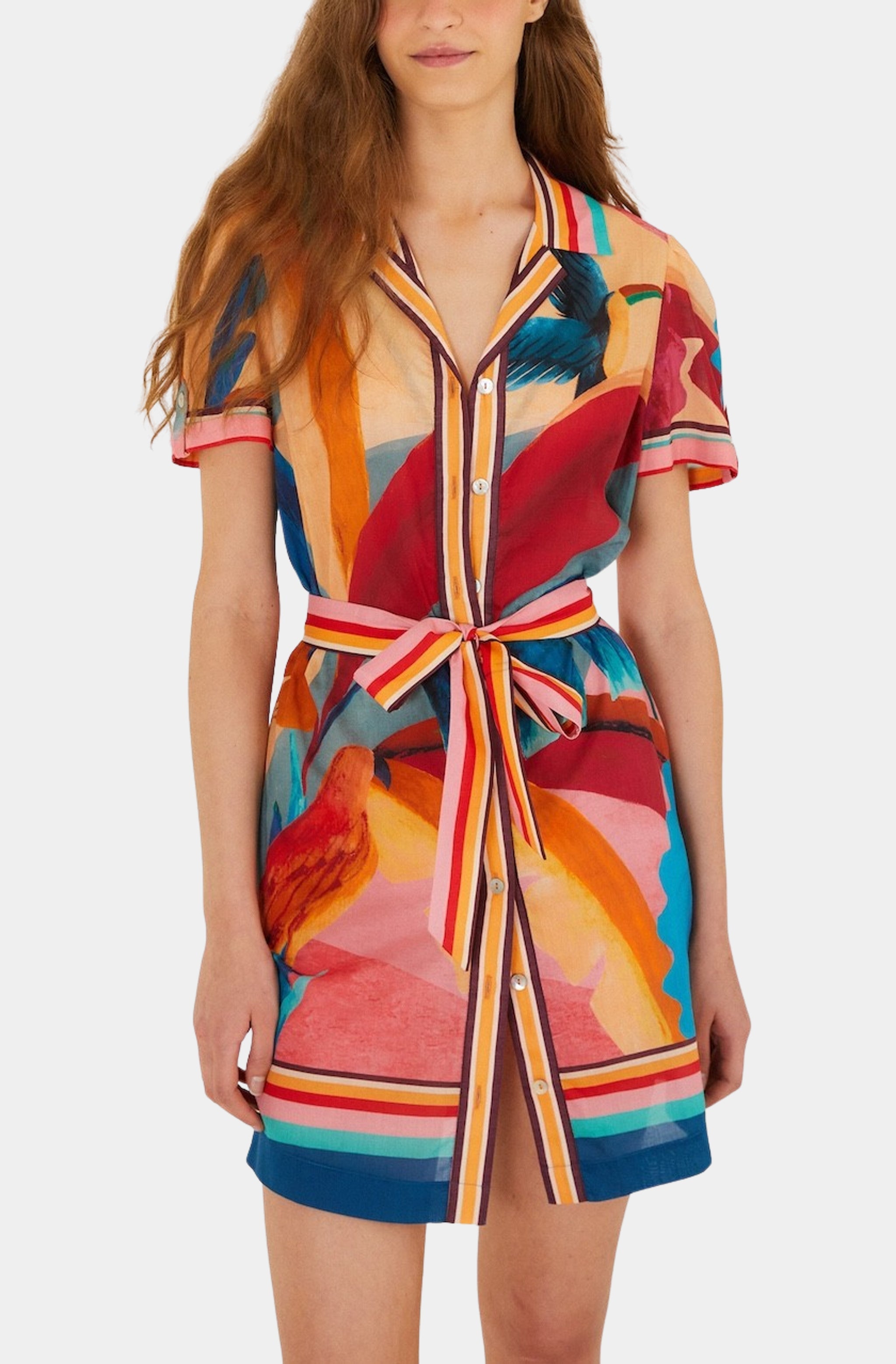 Atlantic Rain Forest Multicolored Mini Dress