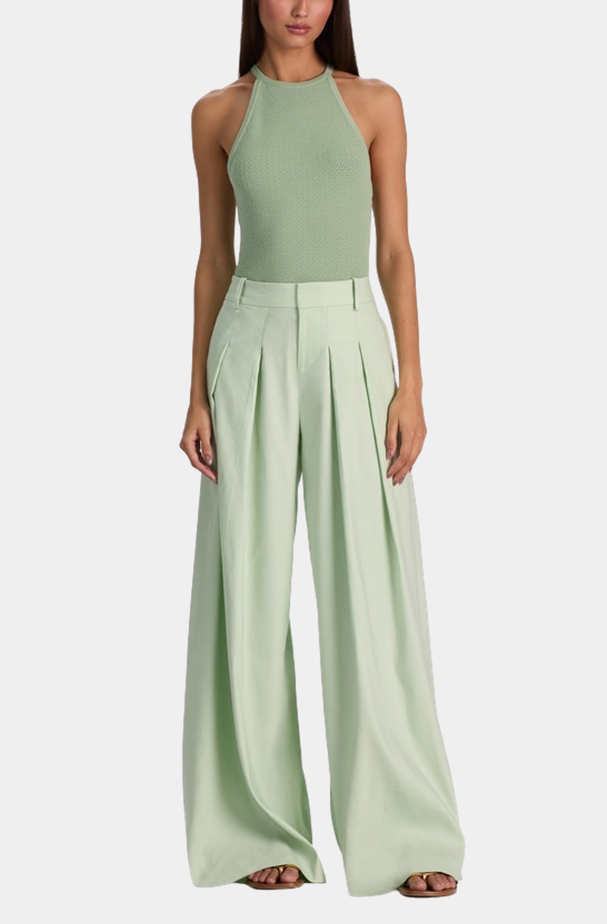 Blaire High Rise Pleat Pant