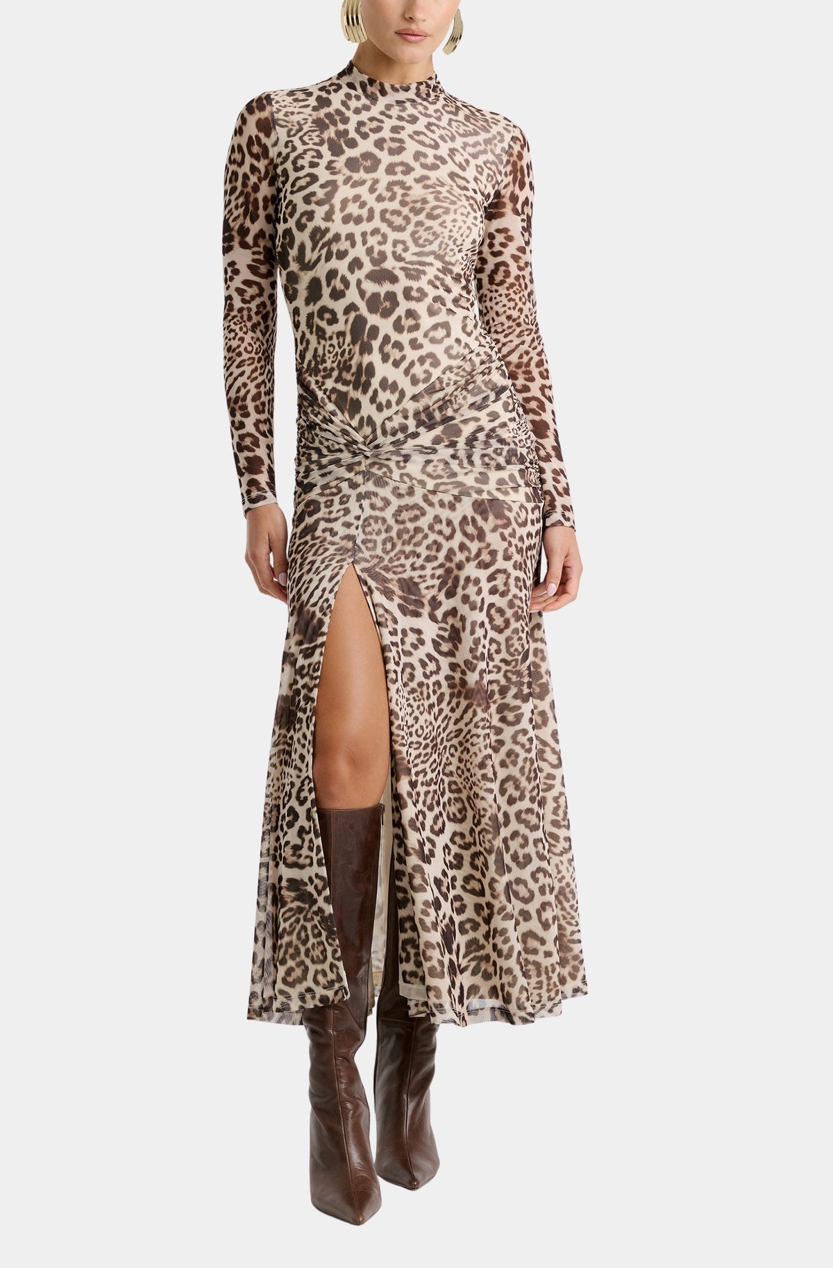 Lea Printed Mesh Dress