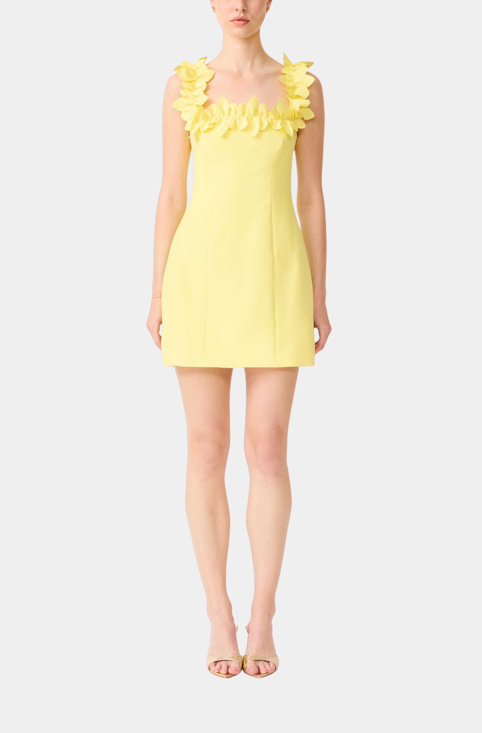Elliatt Hemline Magazine Elliatt Hemline Magazine