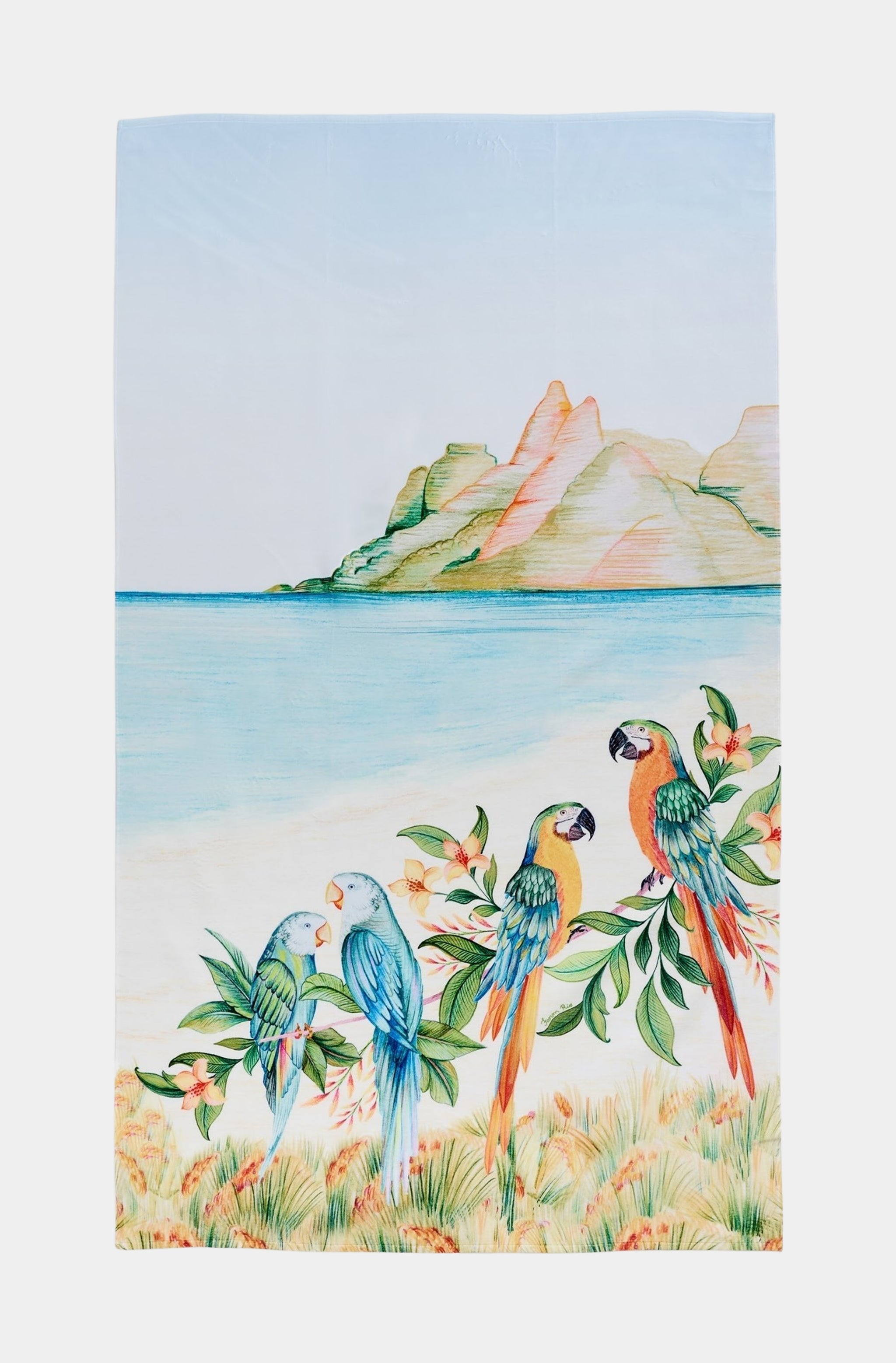 Retro Rio Towel